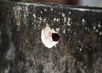 SALVADOR LIDERA EM NÚMERO DE CHACINAS NA BAHIA