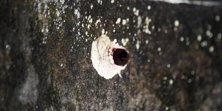 SALVADOR LIDERA EM NÚMERO DE CHACINAS NA BAHIA