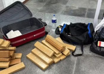 Cão farejador encontra drogas em bagagens de ônibus na BR-116, em Feira de Santana