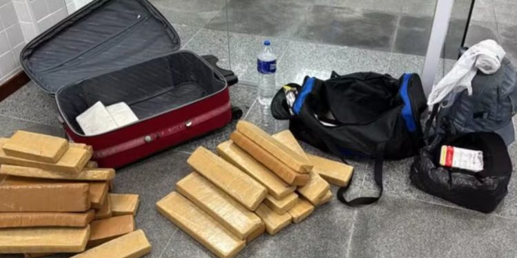 Cão farejador encontra drogas em bagagens de ônibus na BR-116, em Feira de Santana