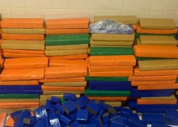 DEPÓSITO DO TRÁFICO: PM encontra quase 1 tonelada de maconha em Simões Filho; criminosos fugiram do local