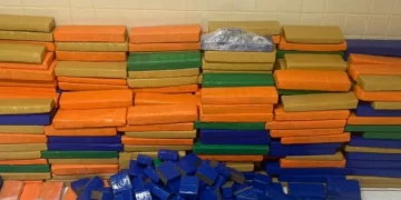 DEPÓSITO DO TRÁFICO: PM encontra quase 1 tonelada de maconha em Simões Filho; criminosos fugiram do local