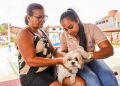 Candeias: SESAU realiza ação de controle de endemias e zoonoses nesta sexta-feira (12)