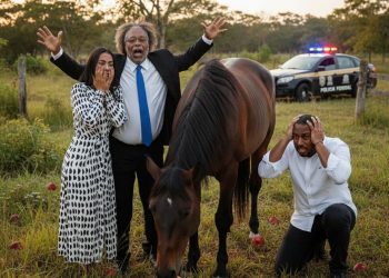 SFC: Após cidade descobrir fazendas milionárias de Calmon, nova fase de operação pode varrer do mapa quem humilhou seu povo