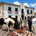 CAVALOS DE LUXO, POVO NA FOME: Fazenda dos filhos de Calmon provoca revolta e sensação de humilhação em São Francisco do Conde