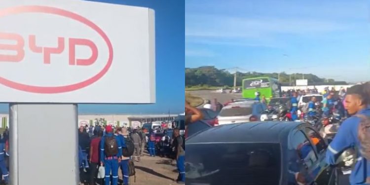 Operários da BYD realizam protesto contra condições de trabalho e travam trânsito na BA-530