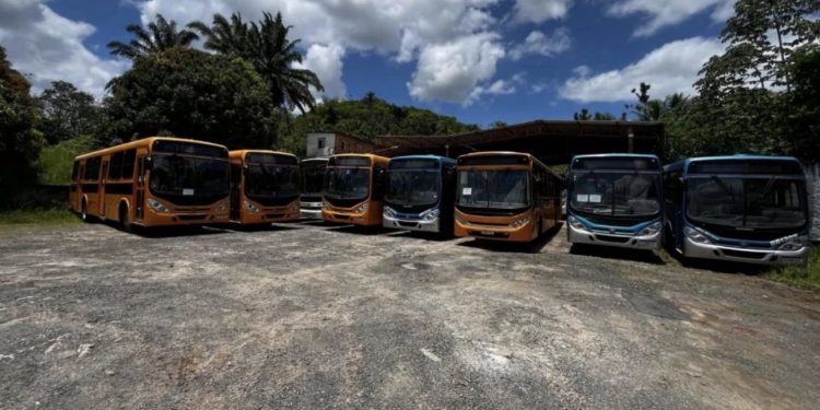 SFC: Mãe faz vaquinha para filho conseguir estudar após Calmon dar calote de 10 meses e empresa recolher ônibus