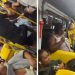 Idosa defeca dentro de ônibus e arremessa fezes em passageiros